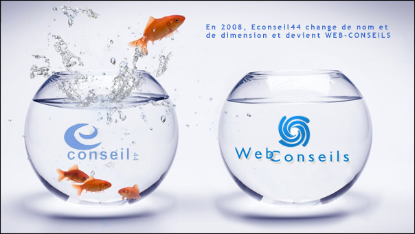 econseil44 change de nome en 2008 et devient web-conseils